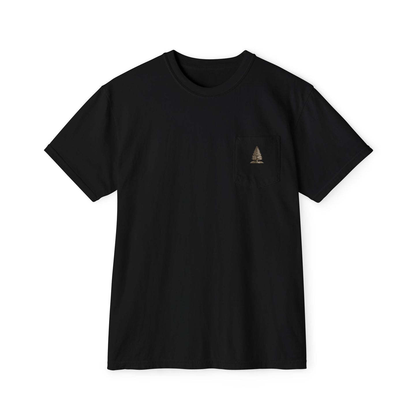 AMERICAN EAGLE POCKET T